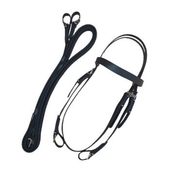 All weather bridle