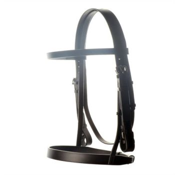 Race Exercise Bridle