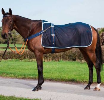 Mesh Paddock Sheet