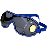 Kroops Goggles
